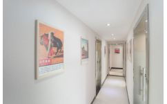 鄭州盤大教育 專業法語與意大利語服務，完善您的多語學習之旅